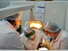 Мастер-класс &quot;Применение диодного лазера в лечении заболеваний мягких тканей полости рта. Отбеливание зубов при помощи диодного лазера&quot;. 31.10.2014