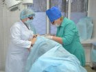 Круглый стол: антибактериальная терапия в практике амбулаторного хирурга