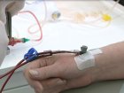 «Очищение крови» - решаем проблемы изнутри. Новое направление