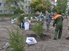 Специалисты Главного управления лесного хозяйства Омской области оказали помощь в озеленении территории Западно-Сибирского медицинского центра
