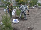 Специалисты Главного управления лесного хозяйства Омской области оказали помощь в озеленении территории Западно-Сибирского медицинского центра