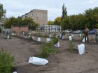 Специалисты Главного управления лесного хозяйства Омской области оказали помощь в озеленении территории Западно-Сибирского медицинского центра