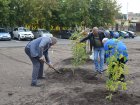 Специалисты Главного управления лесного хозяйства Омской области оказали помощь в озеленении территории Западно-Сибирского медицинского центра
