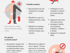 Клещевой вирусный энцефалит и меры его профилактики.