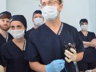 Врач – эндоскопист эндоскопического отделения ЗСМЦ Владимир Юрьевич Петросян принял участие в научно-практической конференции.