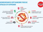 Всемирный день без табака 2024 г.: «Защитить детей от вмешательства табачной промышленности»