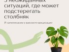 О важности вакцинации для профилактики столбняка.