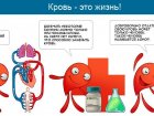 Детям о донорстве.