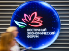 Более 70 стран и территорий подтвердили участие в ВЭФ-2025